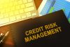 Credit risk management