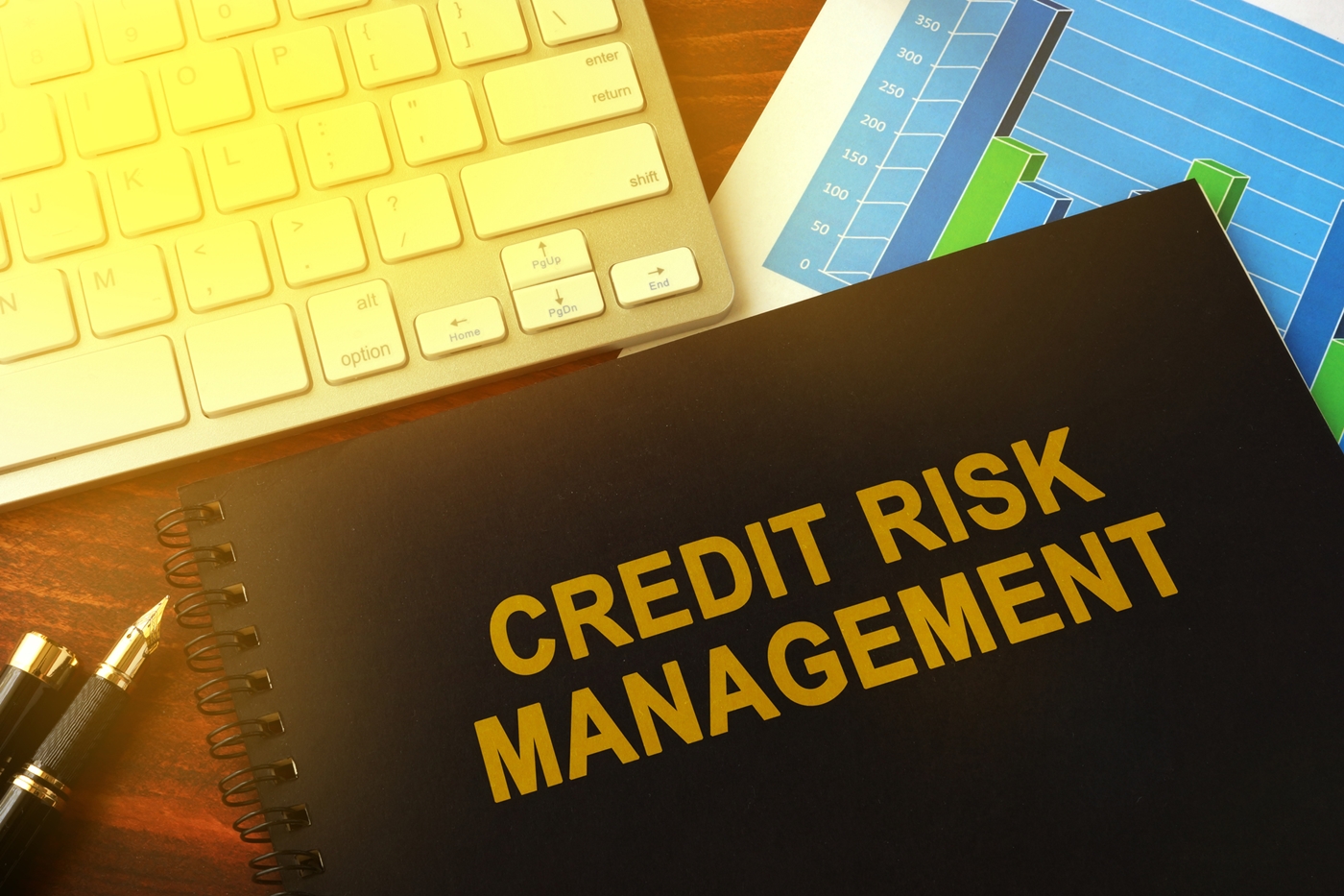 Credit risk management